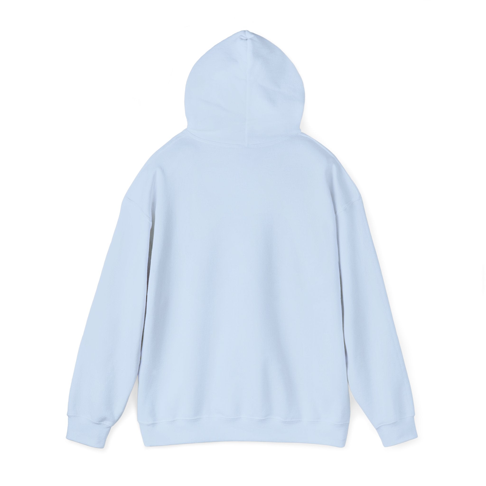 Why Is Everything So Expensive? Hoodie | Cost of Living, Broke Life Humor