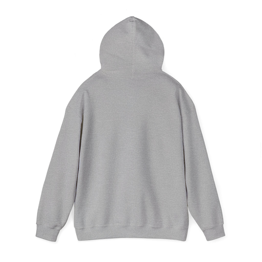 Why Is Everything So Expensive? Hoodie | Cost of Living, Broke Life Humor