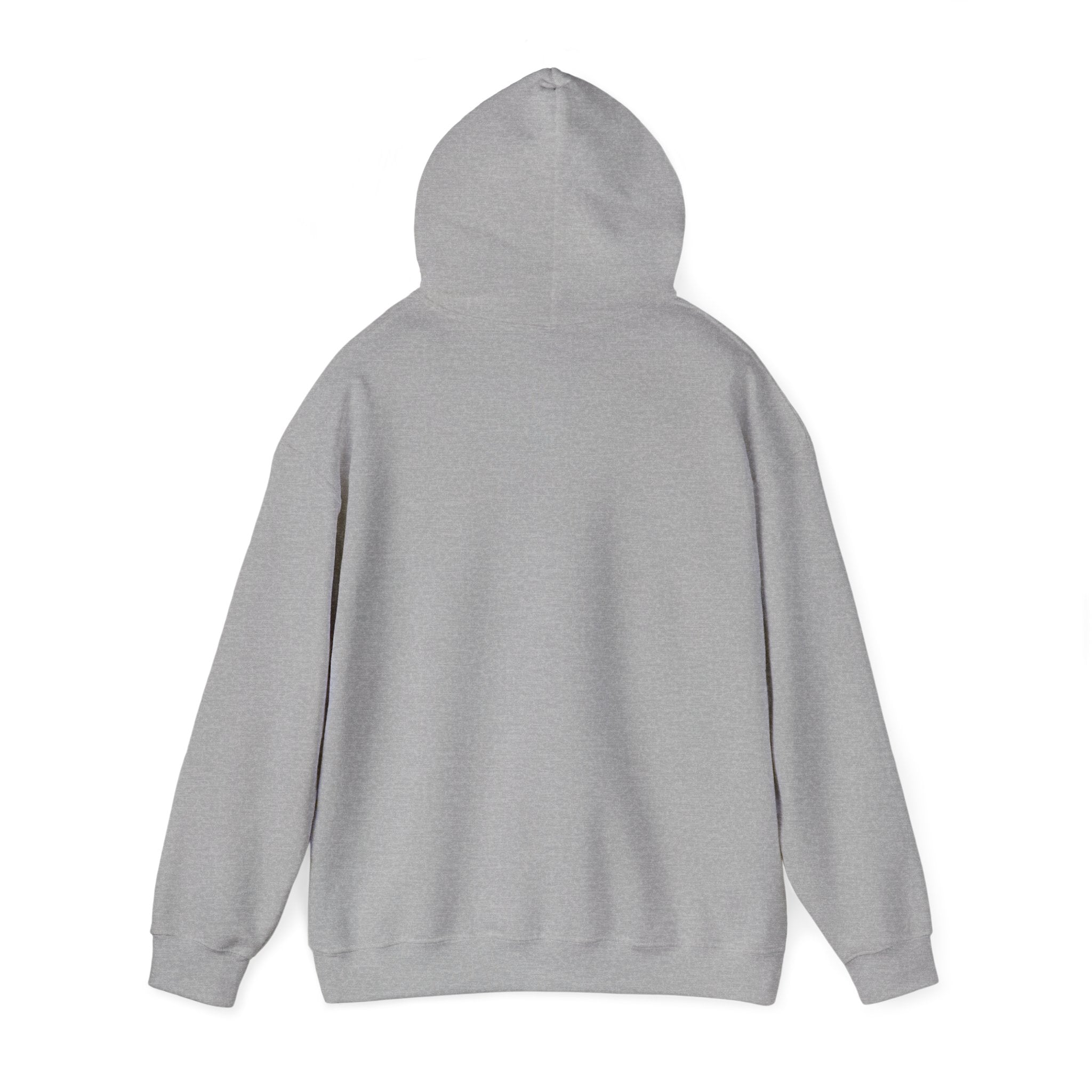 Why Is Everything So Expensive? Hoodie | Cost of Living, Broke Life Humor