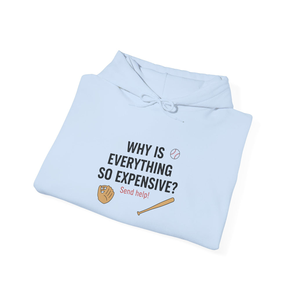 Why Is Everything So Expensive? Hoodie | Cost of Living, Broke Life Humor