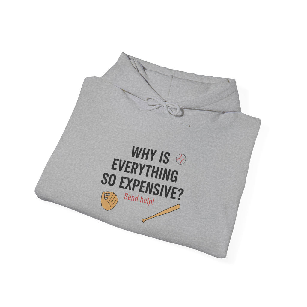 Why Is Everything So Expensive? Hoodie | Cost of Living, Broke Life Humor