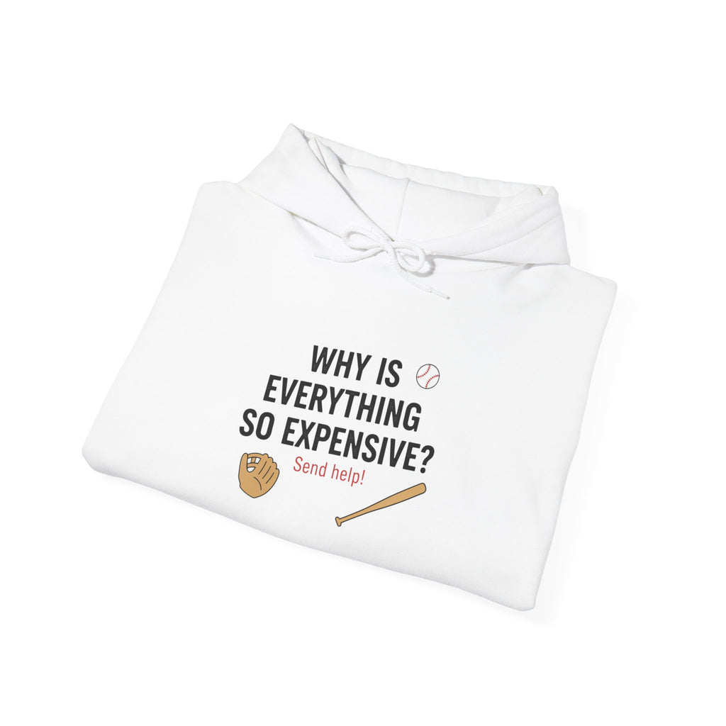 Why Is Everything So Expensive? Hoodie | Cost of Living, Broke Life Humor