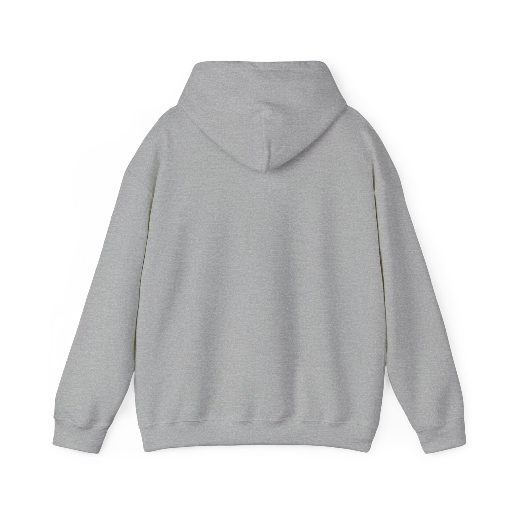 Why Is Everything So Expensive? Hoodie | Cost of Living, Broke Life Humor