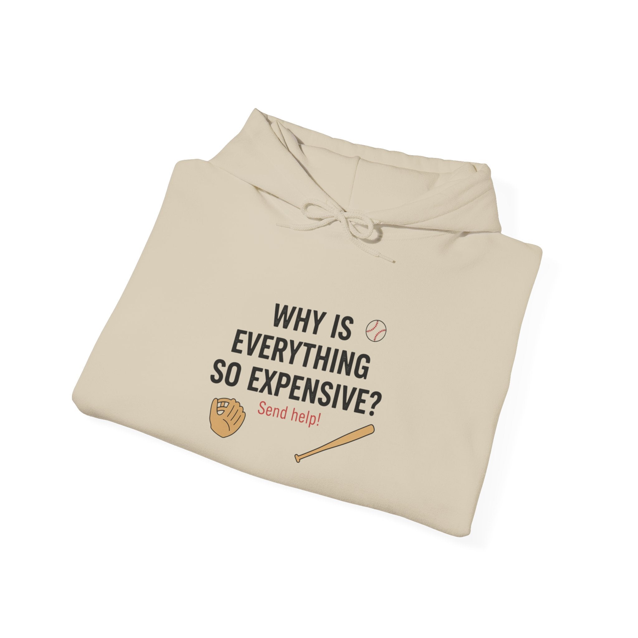 Why Is Everything So Expensive? Hoodie | Cost of Living, Broke Life Humor