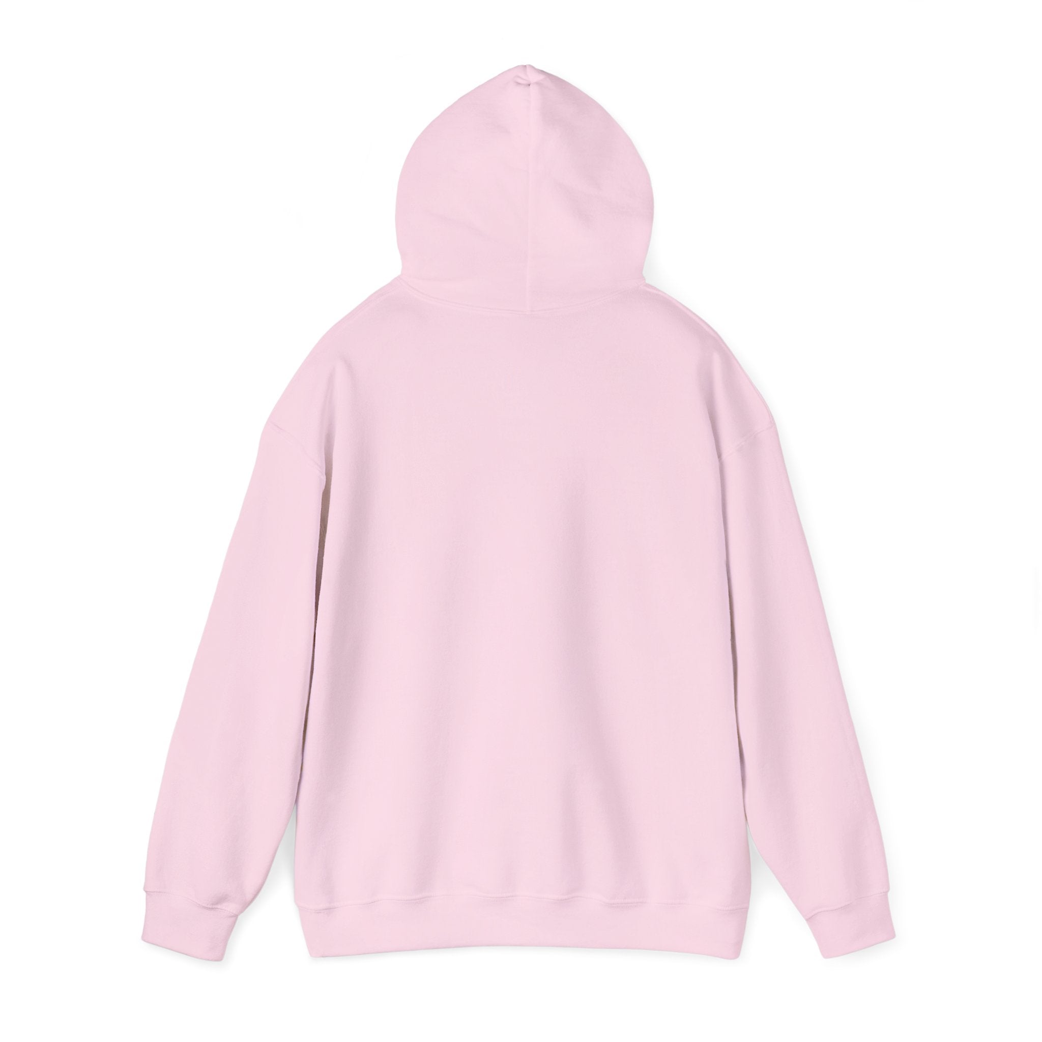 Why Is Everything So Expensive? Hoodie | Cost of Living, Broke Life Humor