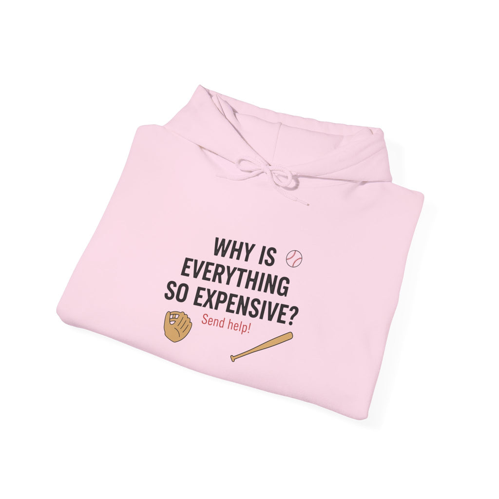 Why Is Everything So Expensive? Hoodie | Cost of Living, Broke Life Humor