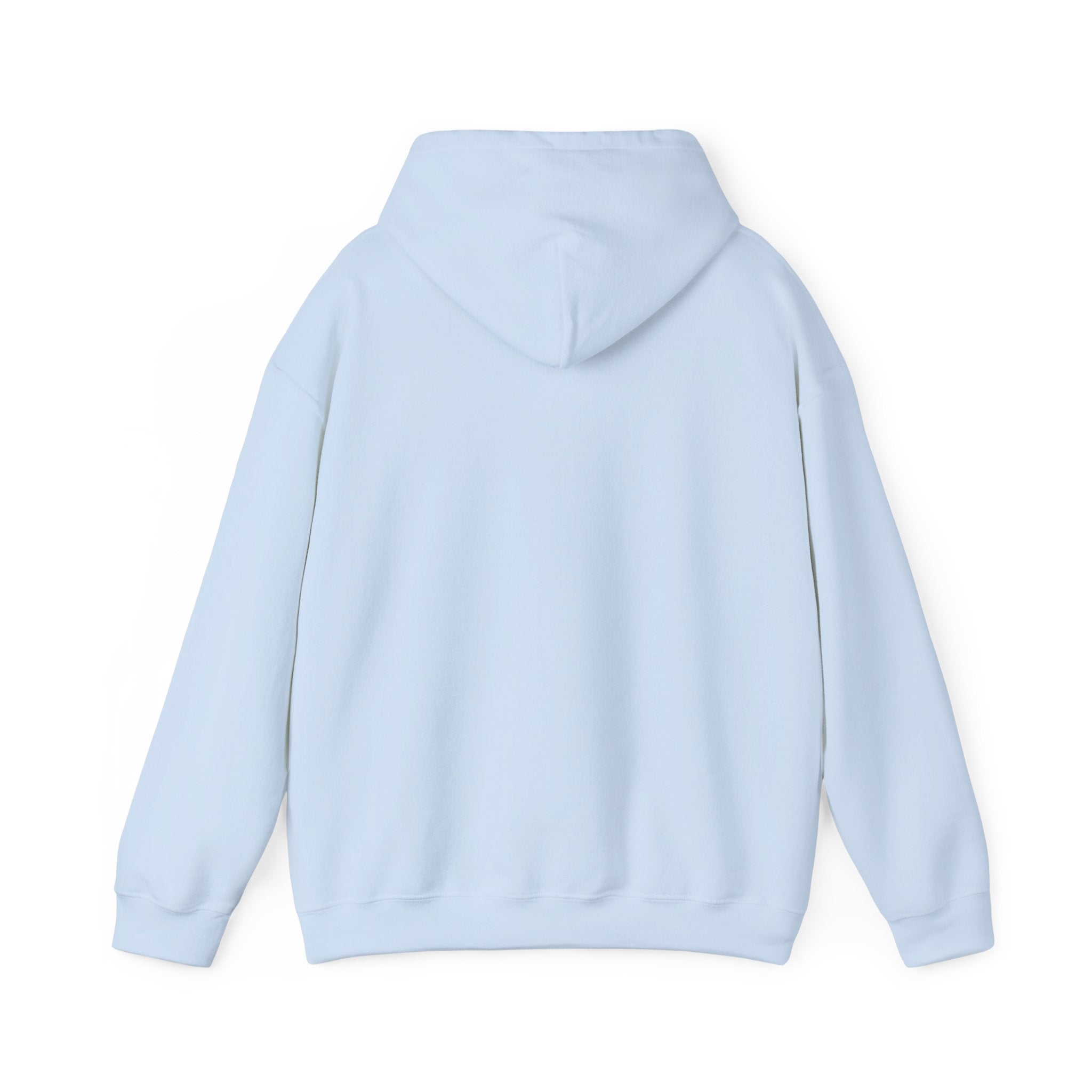 Why Is Everything So Expensive? Hoodie | Cost of Living, Broke Life Humor